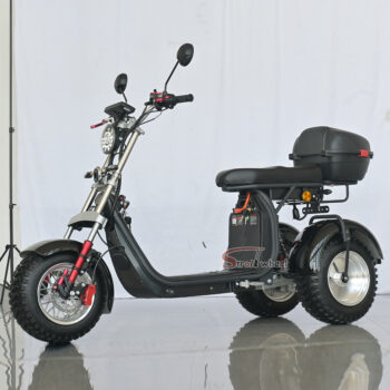 1000 3 Moto eléctrica M3 TRIKE Elmoped M3 TRIKE 4000W - Tracción a 2 ruedas - Alcance de 100 km