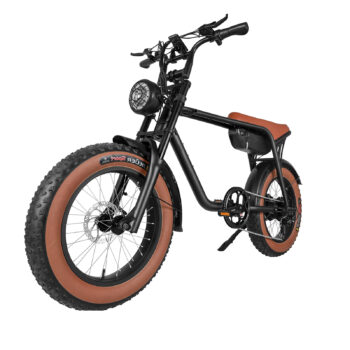 Elcykel DOUCHEBIKE 750W Limpan - 60km räckvidd