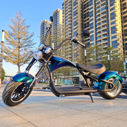 M1 12 Check out the list on Instagram. Fatbike Electric Moped M1 - 3000w Peak - Range 70 Km