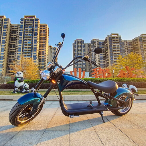 M1 13 Check out the list on Instagram. Fatbike Electric Moped M1 - 3000w Peak - Range 70 Km