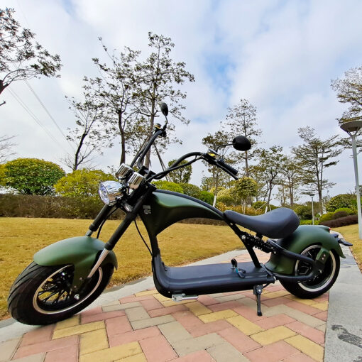 M1 6 Check out the list on Instagram. Fatbike Electric Moped M1 - 3000w Peak - Range 70 Km